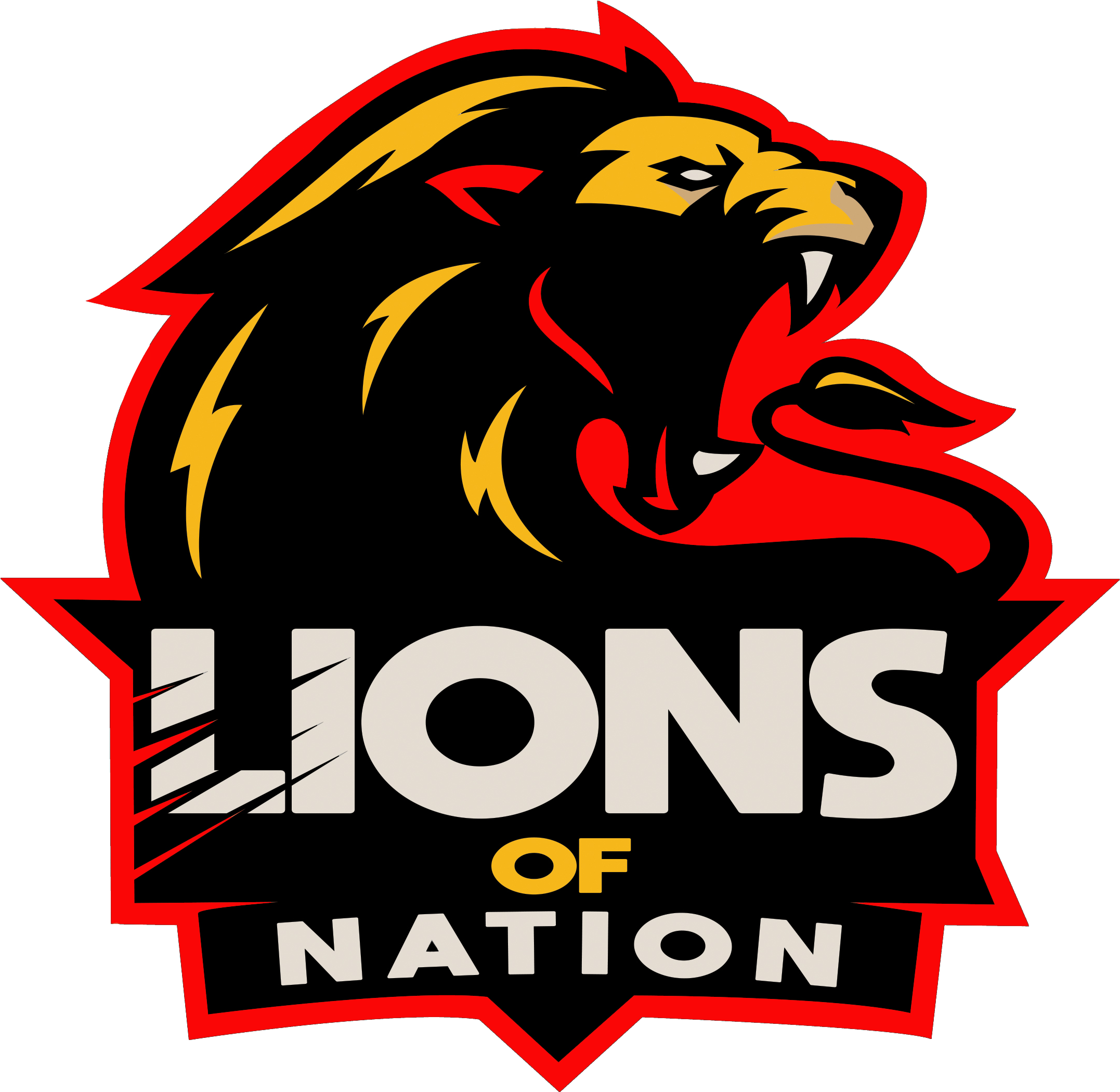 Lionsofnation - Website (2700x2700), Png Download