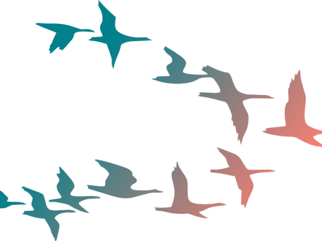 Flying Birds Clipart - Birds Flying Away Png (640x480), Png Download