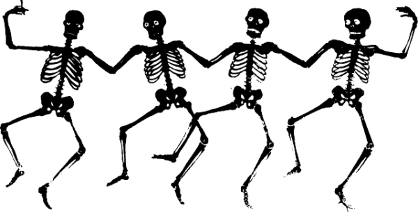 Hay Tres Tipos De Huesos, Planos, Cortos Y Largos - Skeletons Clipart (600x305), Png Download