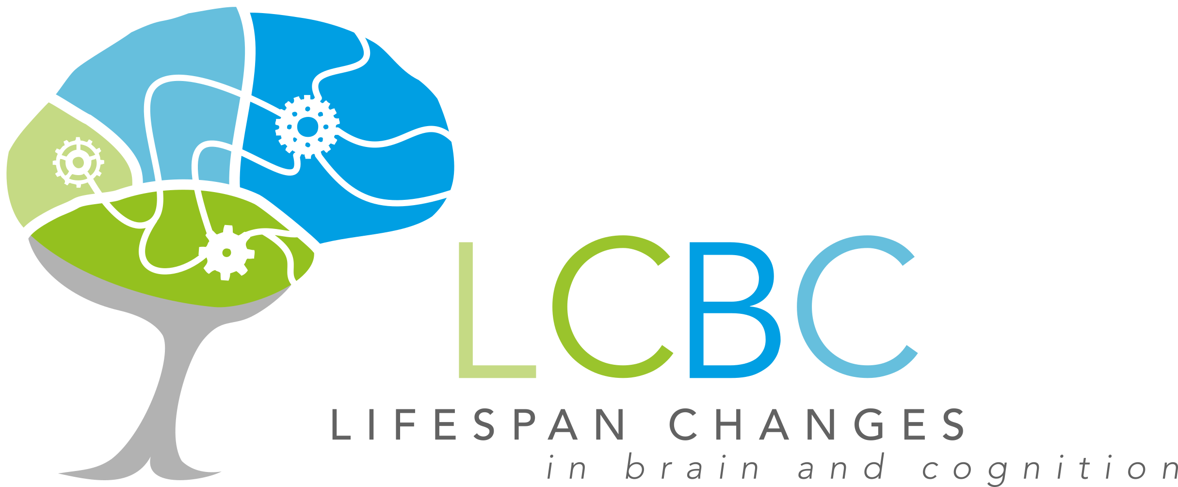 Neuroplasticity (2429x1004), Png Download