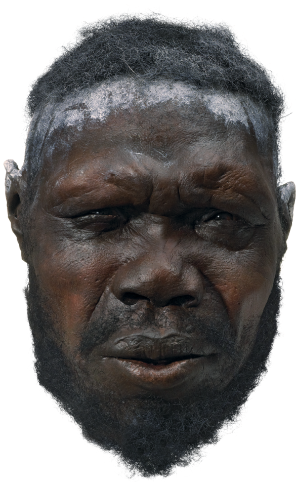 H Sapiens Male F3 29189 H66jq4 - Stone Age Modern Humans (640x981), Png Download