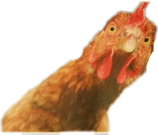 Chicken In Dogs Mouth (518x445), Png Download