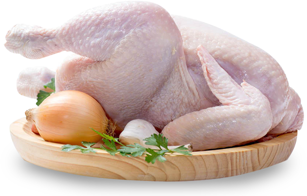 Gallina - Algo Crudo (657x481), Png Download