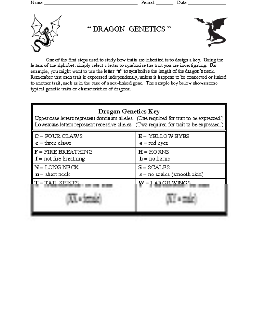 Dragon Genetics One Of The First Steps Used To Study - Document (850x1100), Png Download