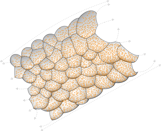 Tingle Room - Diagram (606x450), Png Download