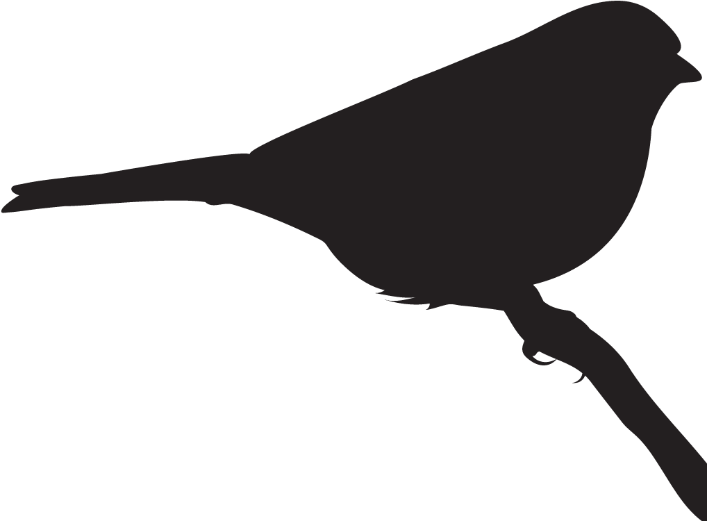 Field Sparrow - Clay Birds In Flight (1024x1024), Png Download