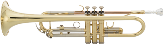 Tr-430 - Trumpet - Trumpet (585x400), Png Download