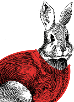 Animal Gender Rabbit Ethnicity 100% Moscato Nationality - Wine (320x400), Png Download