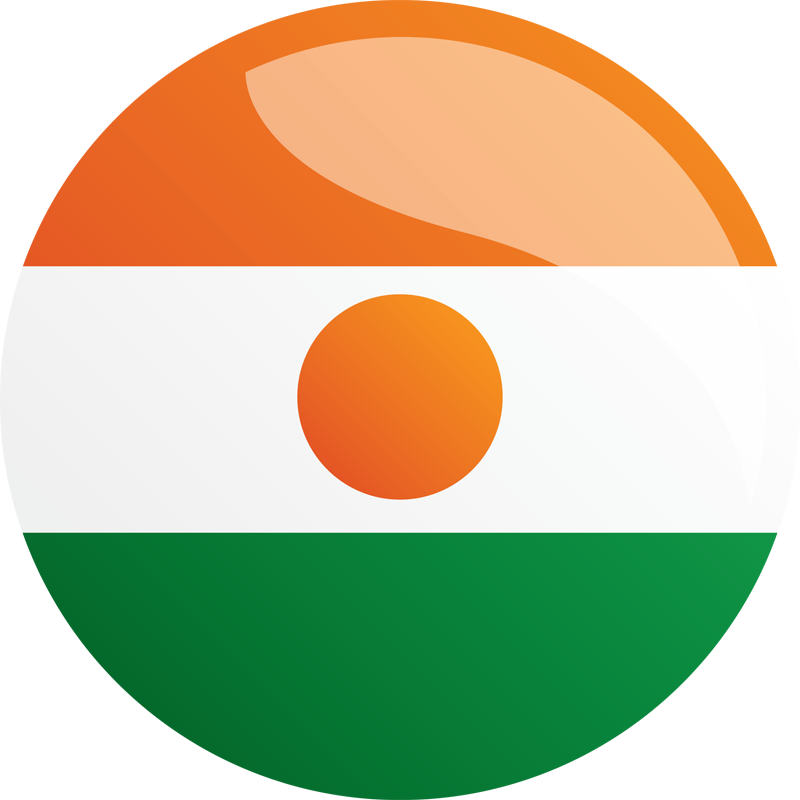 Niger Compact - Niger Logo (800x800), Png Download
