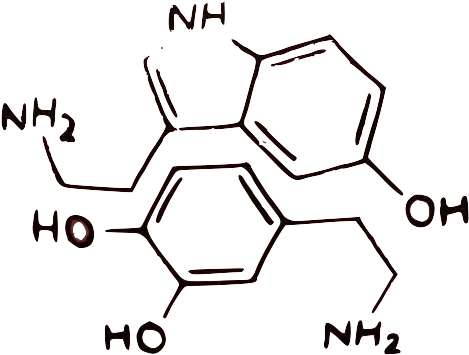 Diagram (581x429), Png Download