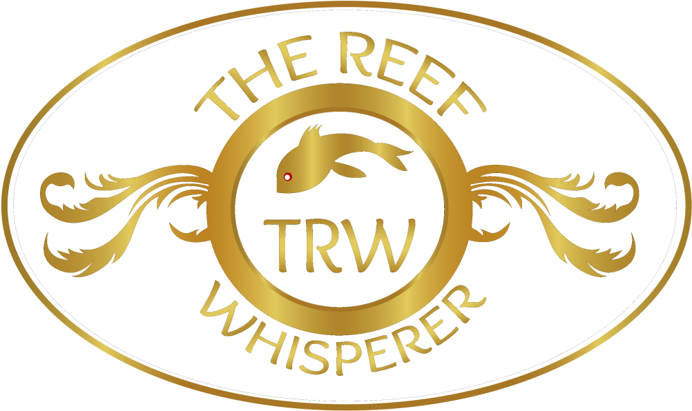 Services - Label (1024x623), Png Download