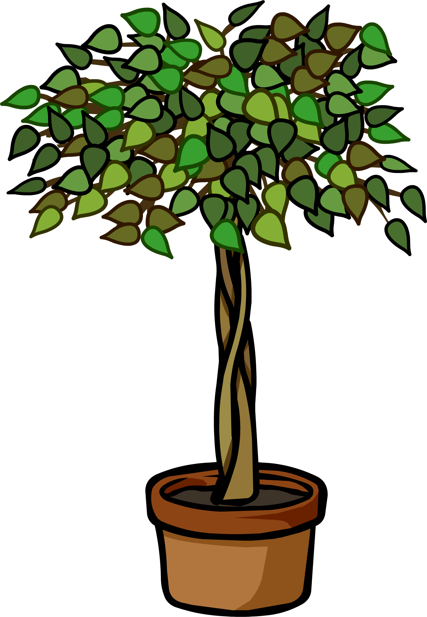 Ficus Plant - Png - Club Penguin Ficus (1422x2055), Png Download