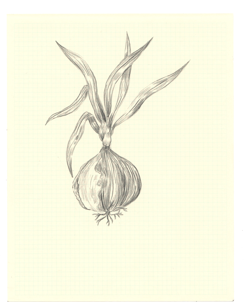 Bonfireapetit Onionscan - Portable Network Graphics (1000x1216), Png Download