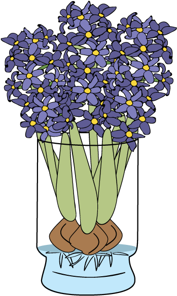 Hyacinth - Bloomaker, Inc. (600x600), Png Download