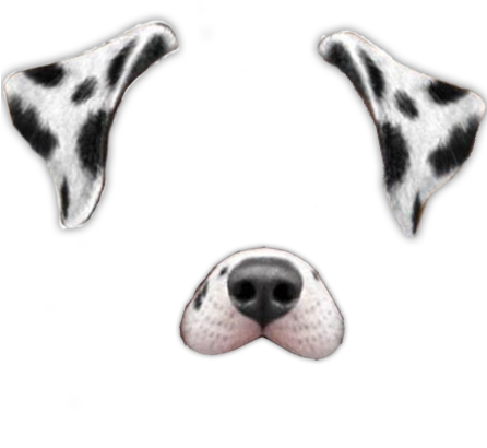 Overlay, Snapchat, And Png Image - Snapchat Filters For Edits (445x467), Png Download