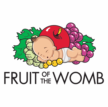 Fruit Of The Loom-cotton Hooded-100% (455x450), Png Download