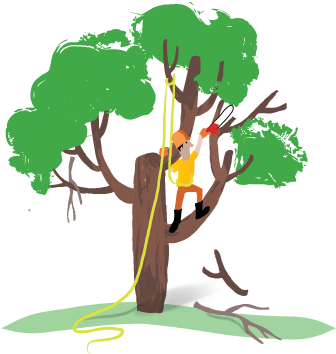 Heritage Tree Care Will Prune Out Your Tree's Dead, - Tree Pruning Cartoon (375x469), Png Download