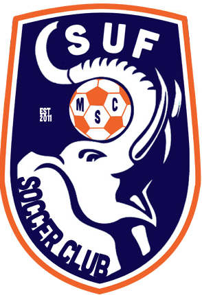 Csuf Club Crescent - Cote D Ivoire National Football Team Logo (294x430), Png Download