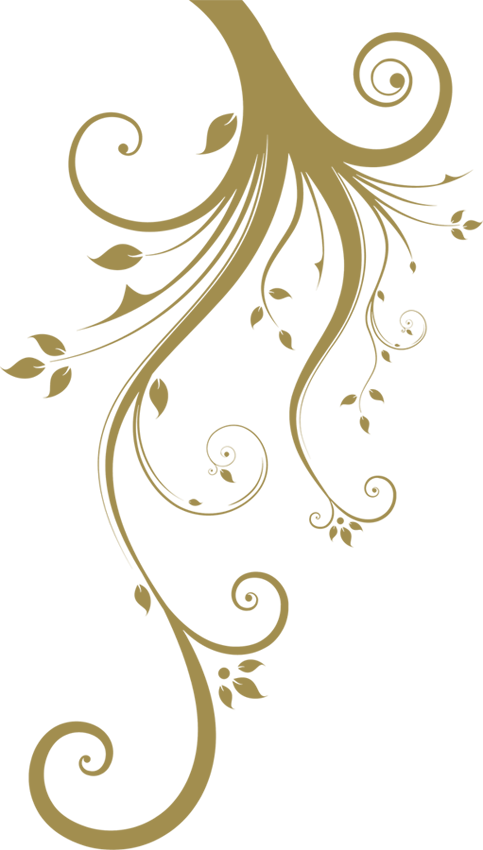 Home - Services - Illustration (483x850), Png Download