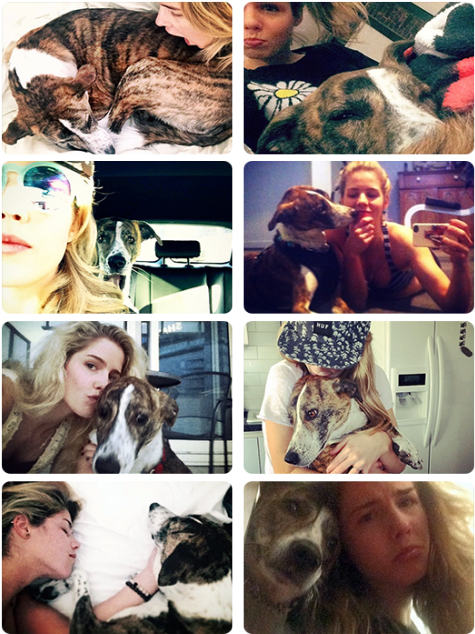 3 - Collage (500x655), Png Download