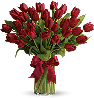 25 Red Tulips And Greens To Start This Valentines Day - Red Tulips Bouquet (368x460), Png Download