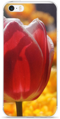 Red Tulip Iphone Case - Iphone (450x450), Png Download