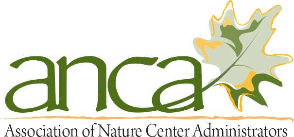 Anca (605x282), Png Download