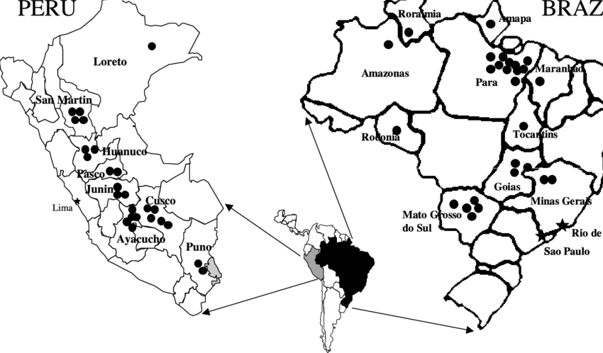 Map Of Peru And Brazil Indicating Geographic Origins - Kindred Sol Collective 'vintage Peru Map' Graphic Art (850x498), Png Download