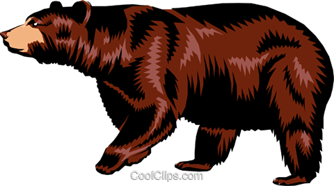 Urso Pardo Livre De Direitos Vetores Clip Art Ilustração - Медведь Вектор Png (480x268), Png Download