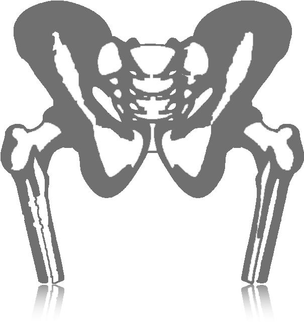 Hip (650x967), Png Download