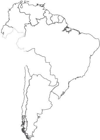 Capitallima (354x496), Png Download