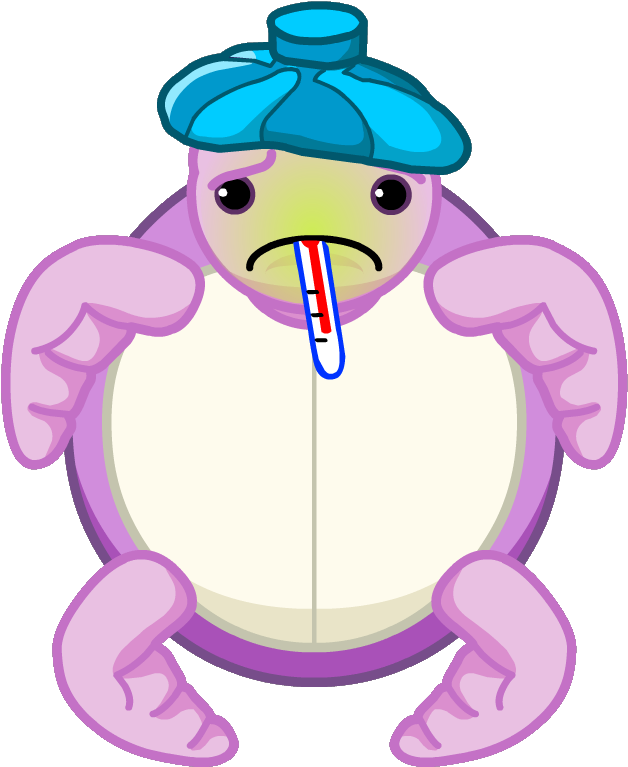 Blossom Sea Turtle Sick - Sick Turtle Png (670x792), Png Download