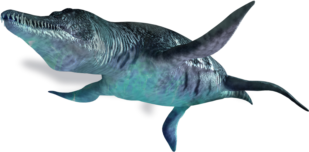 Liopleurodon Dino Large - Plesiosauria (1044x527), Png Download