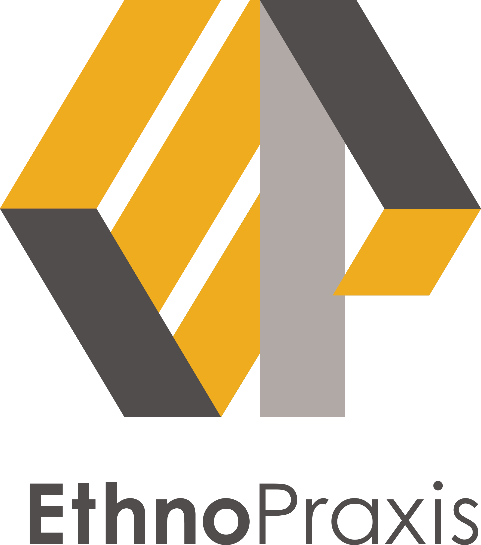 Ethnopraxis Color Logo - Esagono Regolare (1933x2189), Png Download