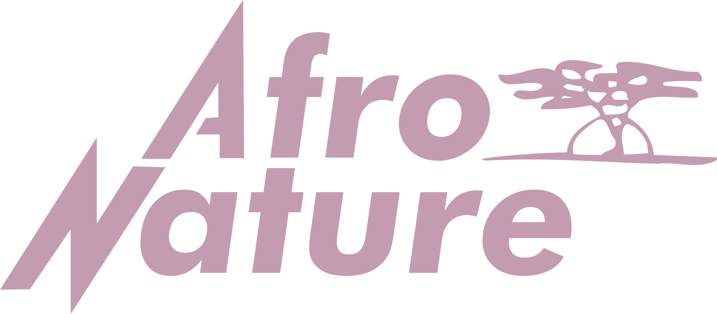 Afro Nature Logo Png Transparent - Afro Nature (2400x1052), Png Download