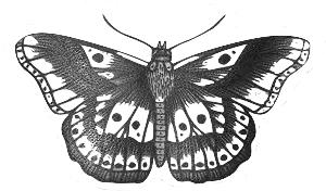 Imagenes Png Buscar Con Google Post Quotes - One Direction Transparent Tattoos (500x450), Png Download