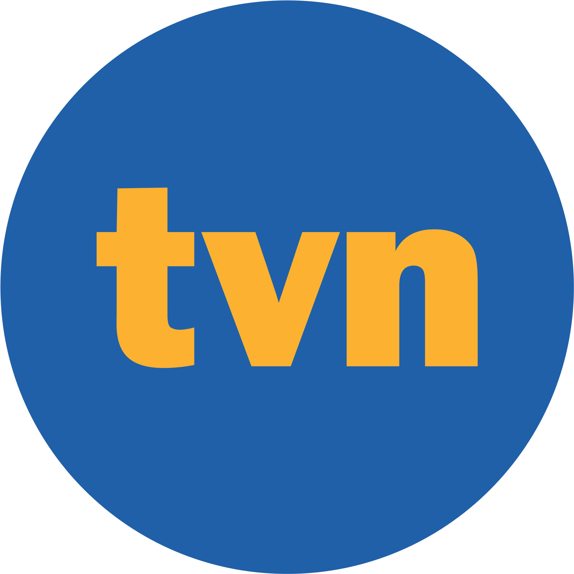 Tvn Logo - Tvn Logo Bez Tła (980x980), Png Download
