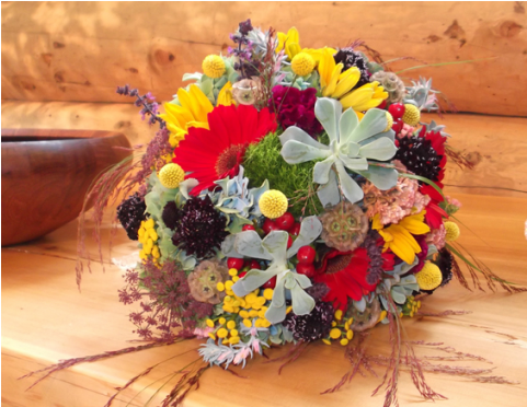 Succulent Fun - Flower Bouquet (480x480), Png Download