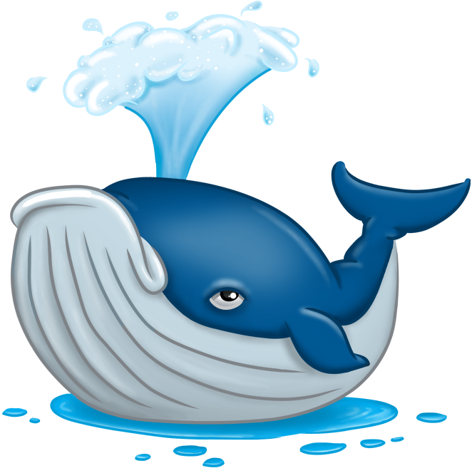 Whale - Whales (740x740), Png Download