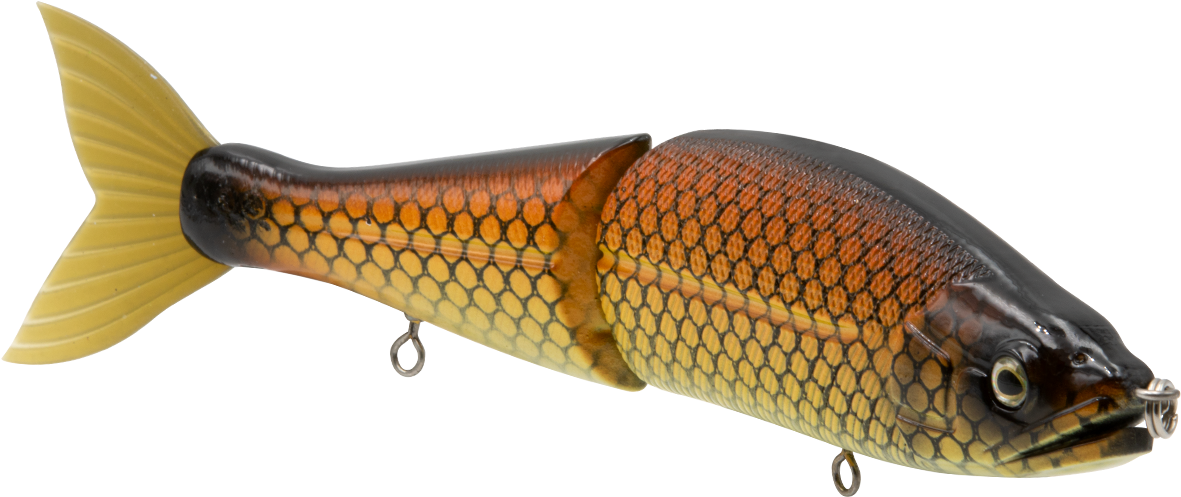 Venom - Trout (1200x900), Png Download