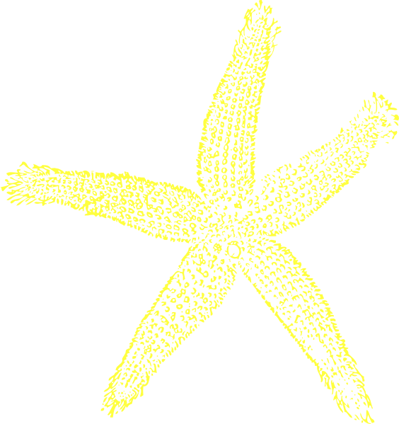 Small - Yellow Starfish Clip Art (564x599), Png Download
