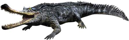 Gryposuchus - Wiki (480x480), Png Download