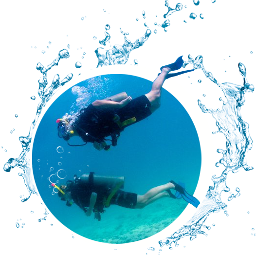 Padi Scuba Diver - Extended Family A1 New Solar Lights 9 Led Wireless (670x522), Png Download