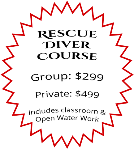 メール便対応 ピアス フープピアス 20mm 真鍮製 50個 25ペア 入り 「ゴールド・シルバー・ピンクゴールド」 (500x500), Png Download