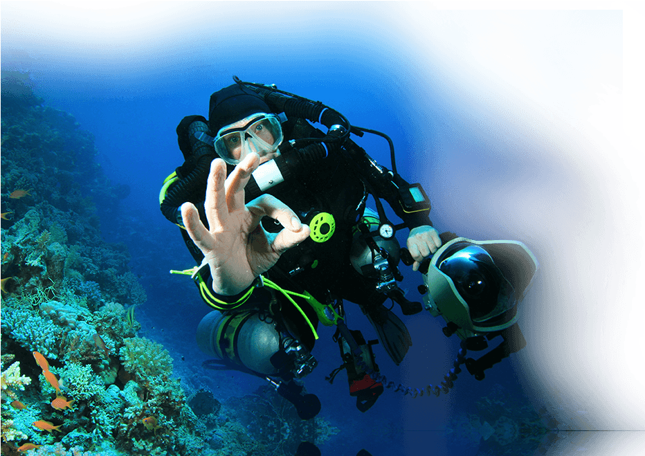 New Orleans - Delise & Hall (1740x812), Png Download