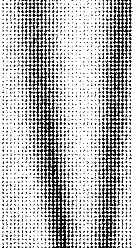 Transfashional Warsaw (265x494), Png Download