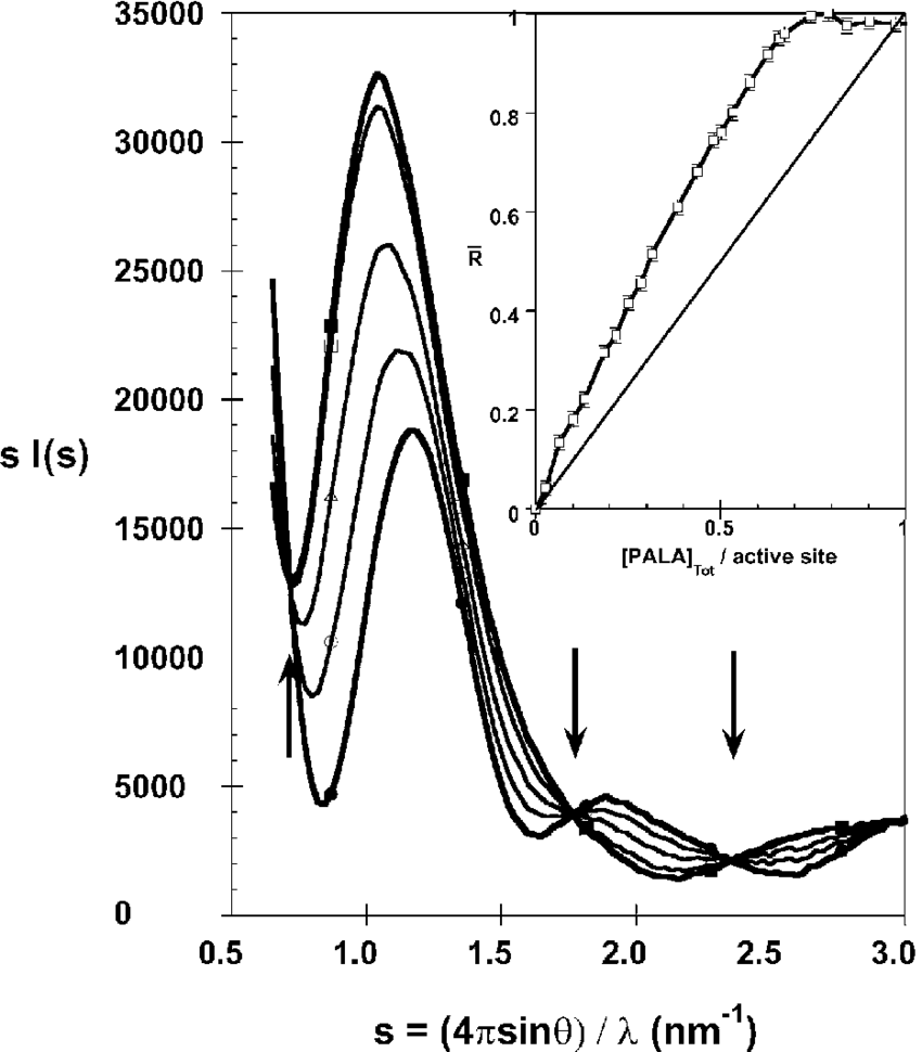 X-ray Scattering Patterns Of Atcase In The Presence (850x970), Png Download