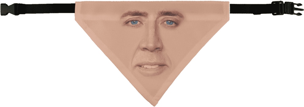 Cage Face ﻿pet Bandana - Nicolas Cage (1024x1024), Png Download