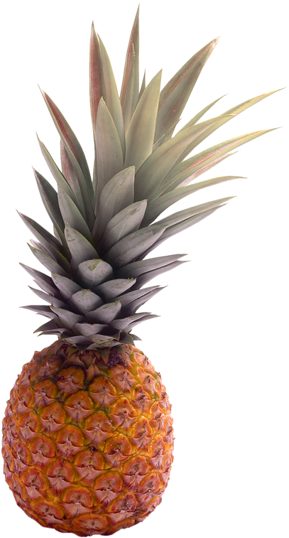 Abacaxi - Abacaxi Png Fundo Transparente (332x500), Png Download