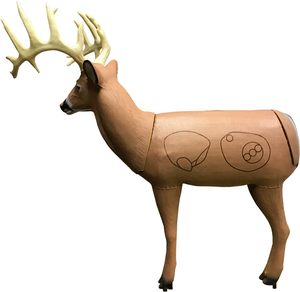 Bionic Buck Iii Field Point Classic 3d Archery Target - Archery (1024x1024), Png Download